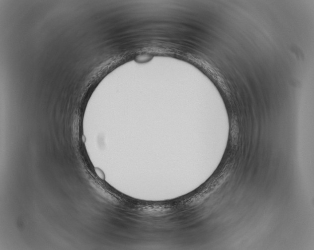 X0000111190445200908121051