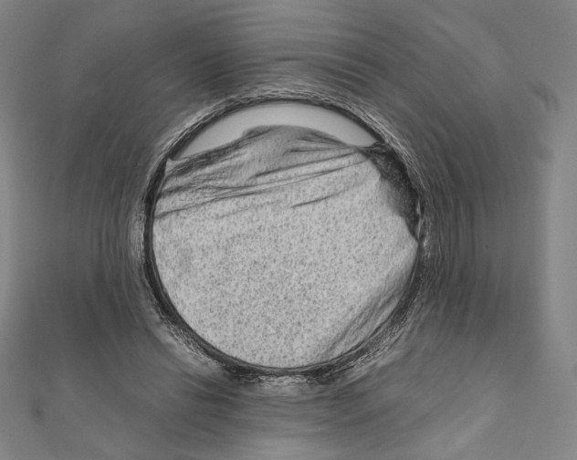 X0000111190446200908121051