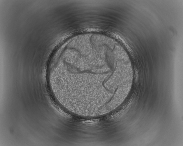 X0000111190447200908121051