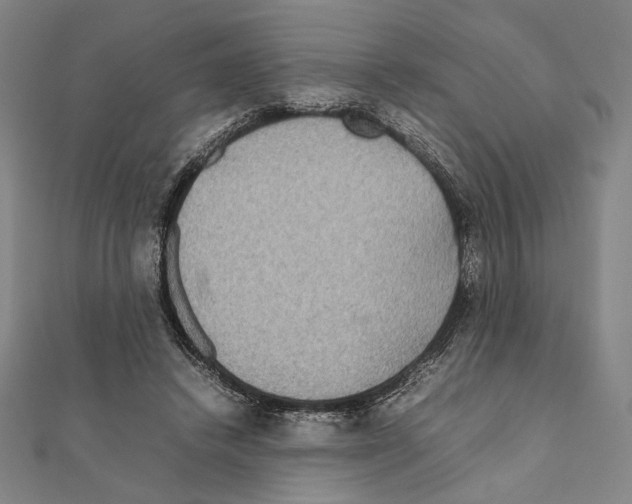 X0000111190448200908121051