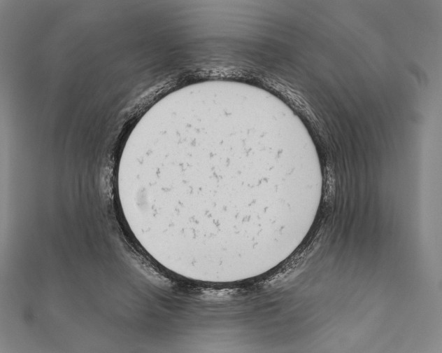 X0000111190450200908121051