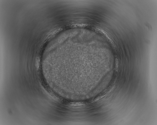 X0000111190451200908121051