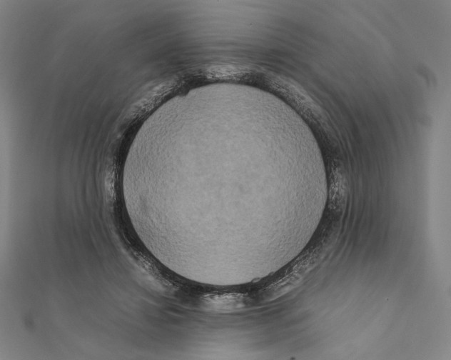 X0000111190452200908121051