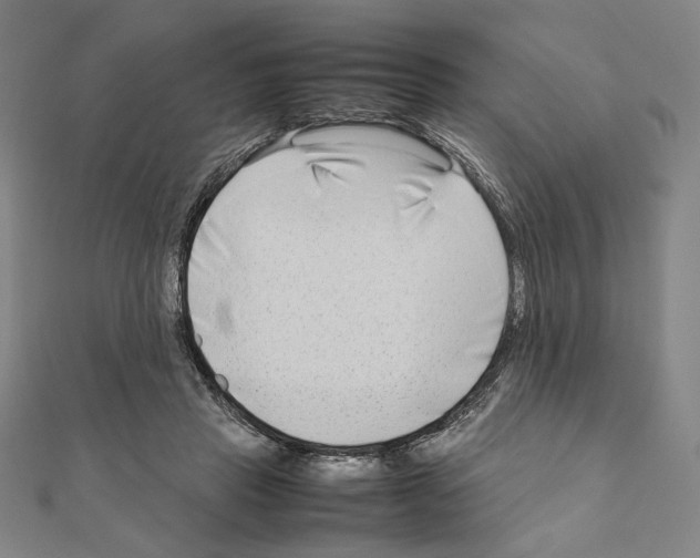 X0000111190453200908121051