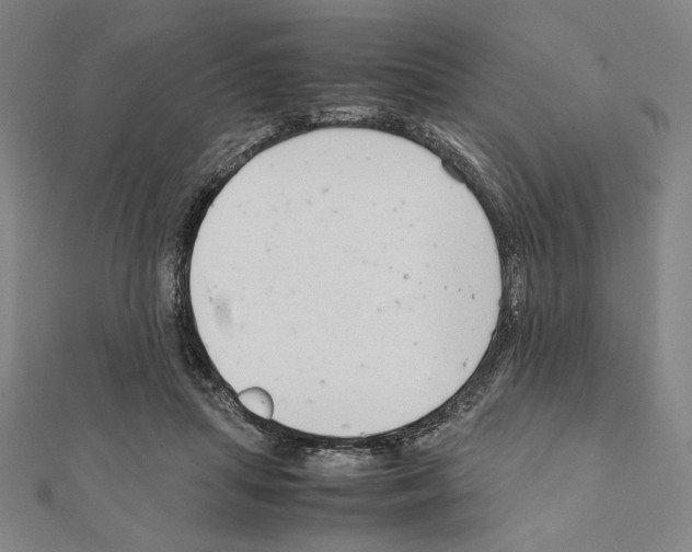 X0000111190455200908121051