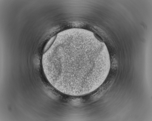 X0000111190456200908121051