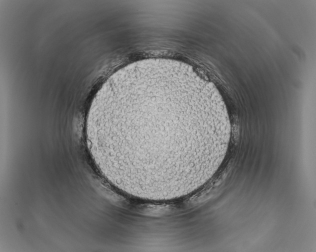 X0000111190458200908121051