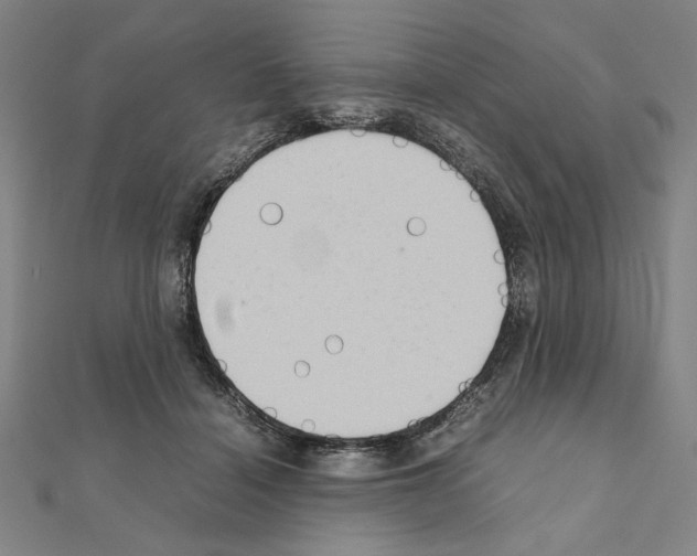 X0000111190460200908121051