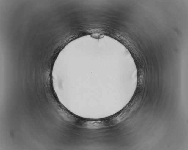 X0000111190461200908121051