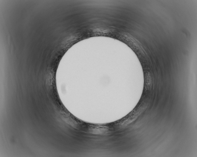 X0000111190463200908121051