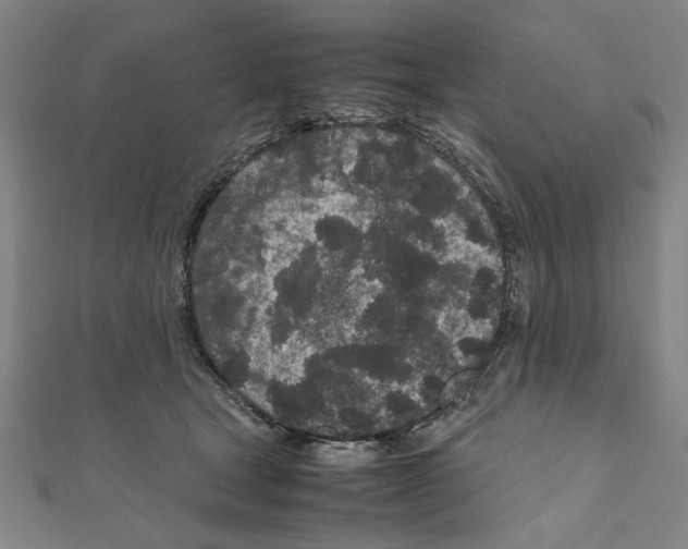 X0000111190465200908121051