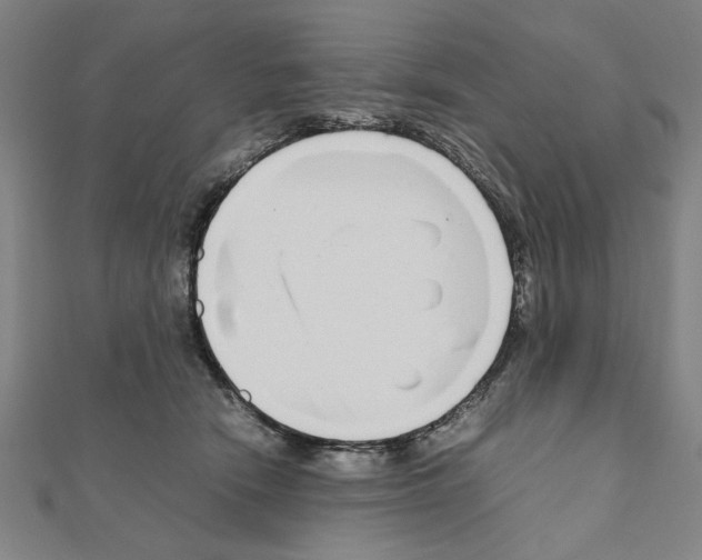 X0000111190466200908121051