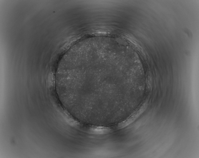 X0000111190467200908121051