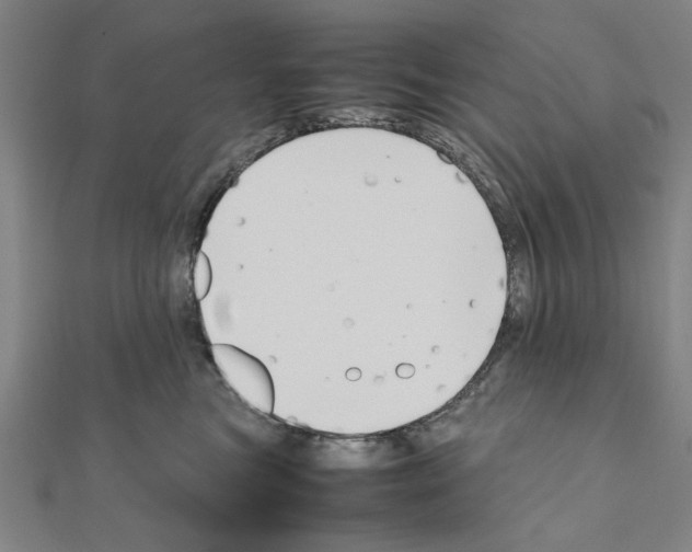 X0000111190473200908121052