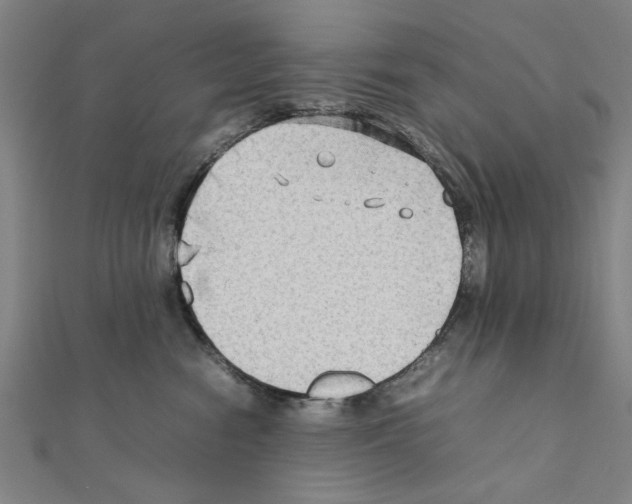 X0000111190474200908121052