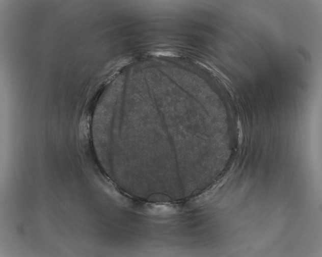 X0000111190475200908121052