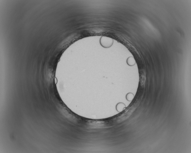 X0000111190476200908121052