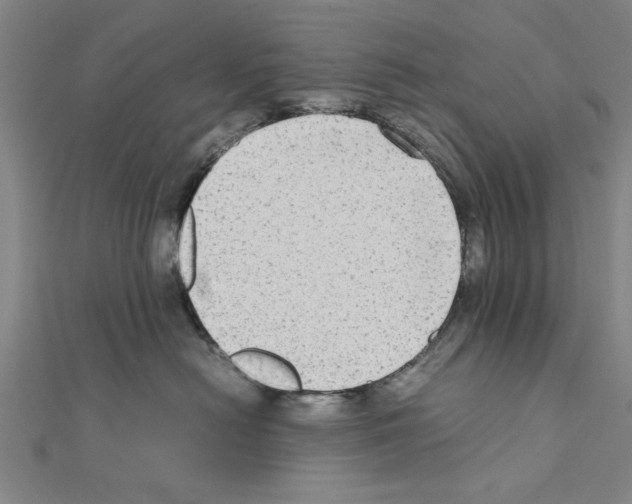 X0000111190478200908121052