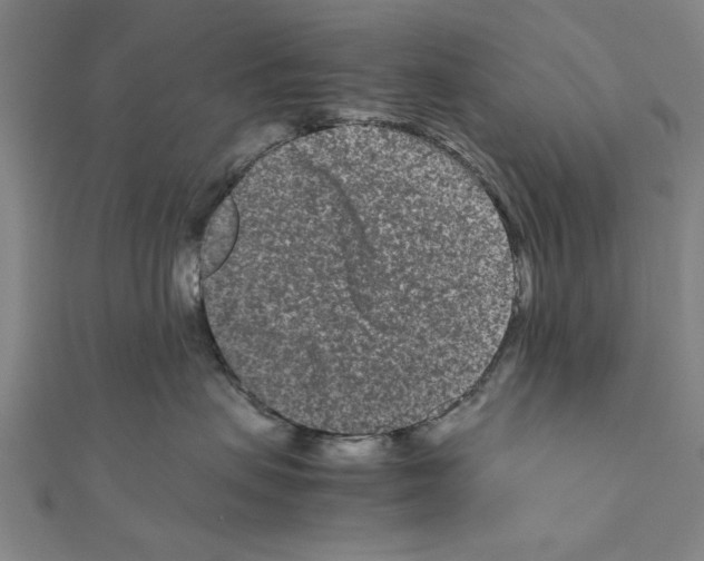 X0000111190479200908121052