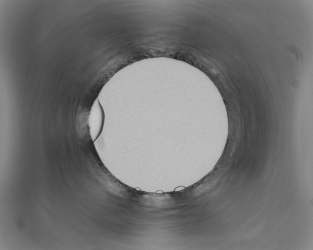 X0000111190480200908121052