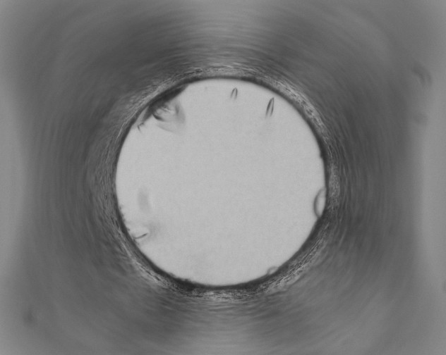 X0000111190481200908121051