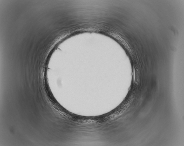 X0000111190483200908121051