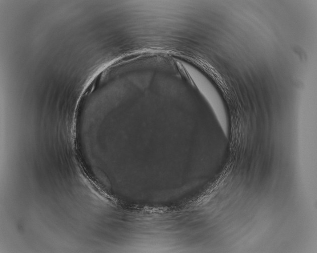 X0000111190484200908121051