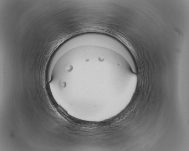X0000111190485200908121051