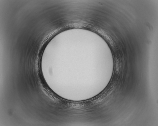 X0000111190486200908121051