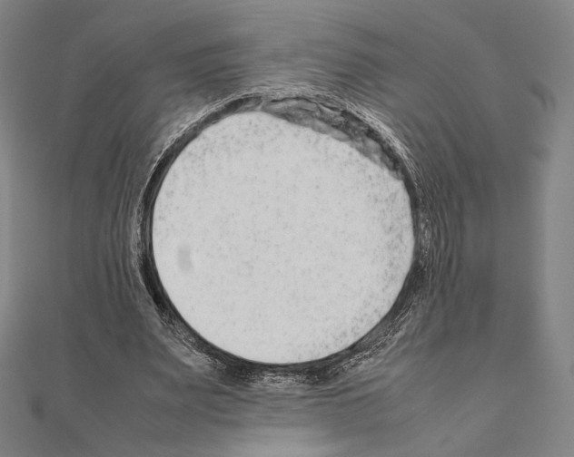 X0000111190487200908121051