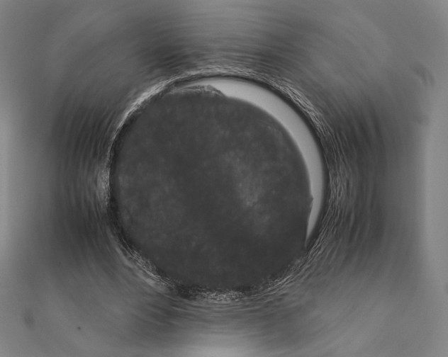 X0000111190488200908121051