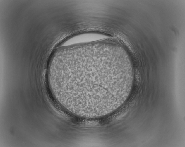 X0000111190491200908121051