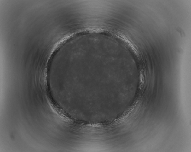 X0000111190492200908121051