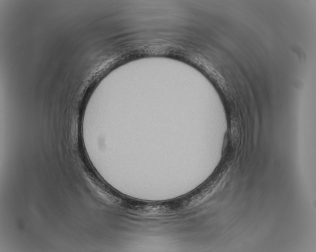 X0000111190493200908121051