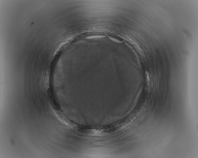 X0000111190496200908121051