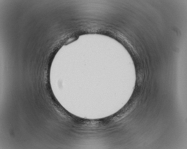 X0000111190497200908121051