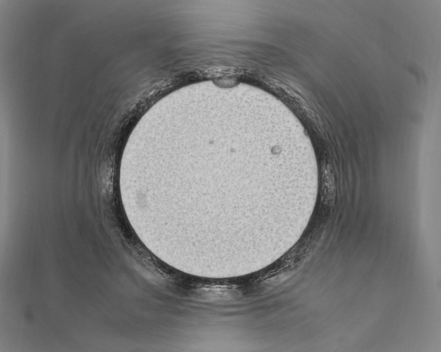 X0000111190499200908121051