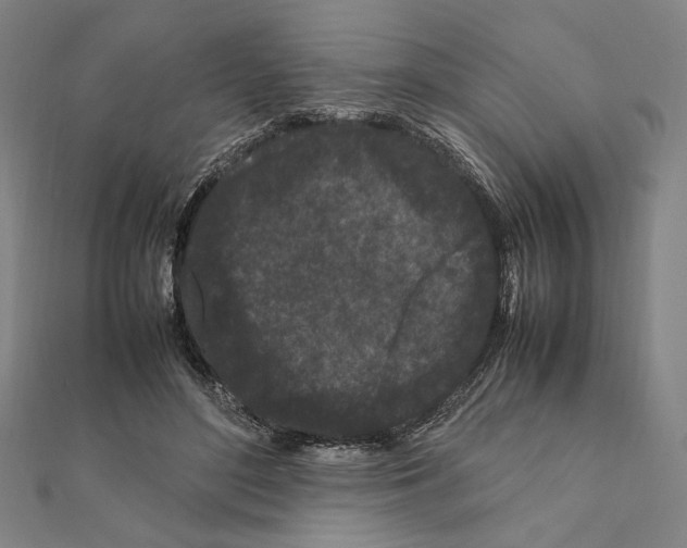 X0000111190500200908121051