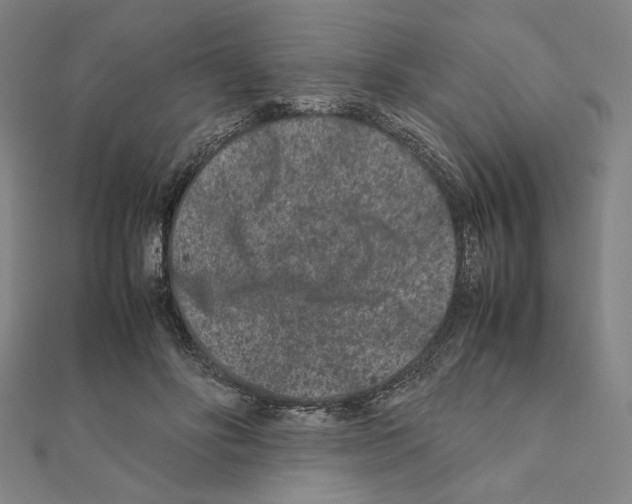 X0000111190502200908121051