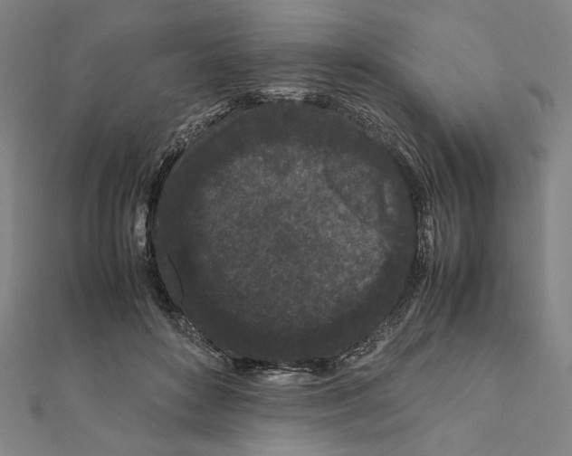 X0000111190504200908121051