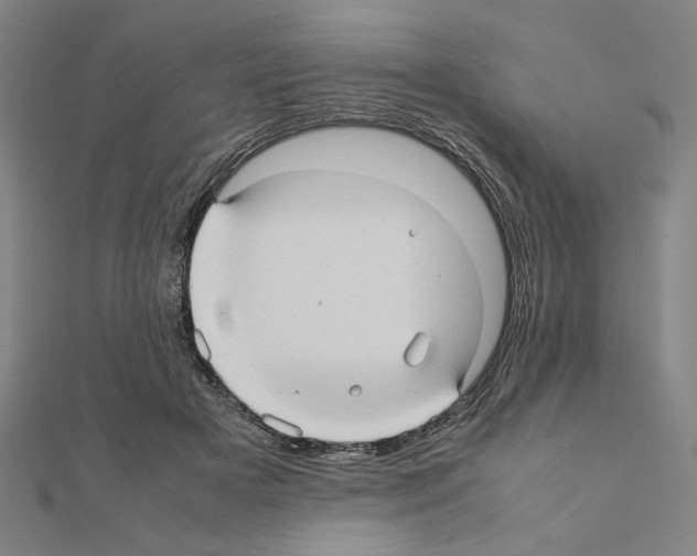 X0000111190505200908121051