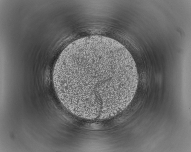 X0000111190506200908121051