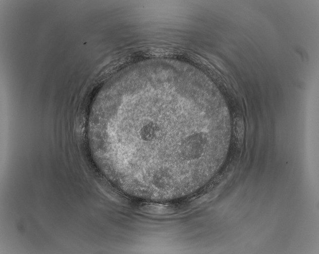 X0000111190507200908121051