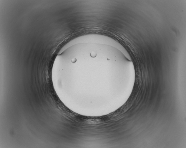 X0000111190508200908121051