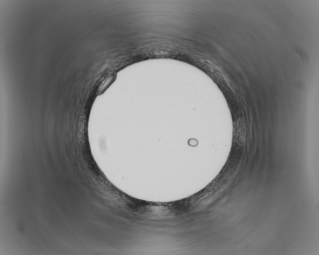 X0000111190509200908121051