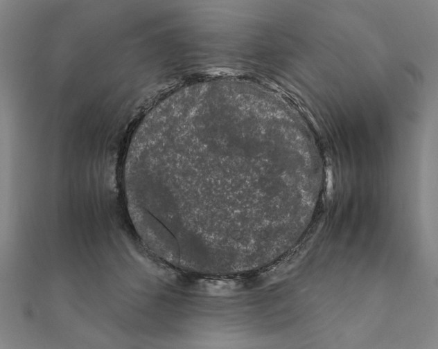X0000111190512200908121050