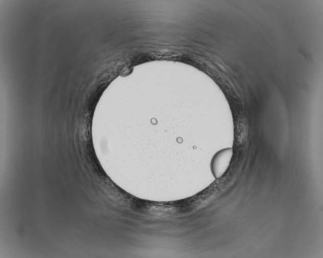 X0000111190515200908121050