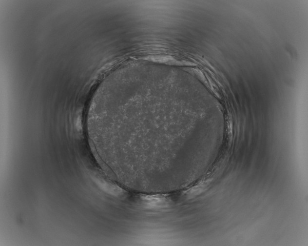 X0000111190516200908121050