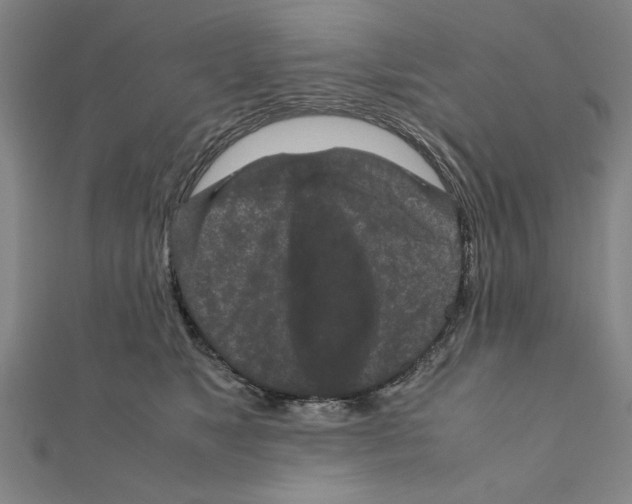 X0000111190517200908121050
