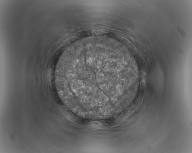 X0000111190519200908121050